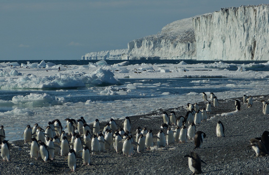 [P1000739%255B5%255D.jpg]