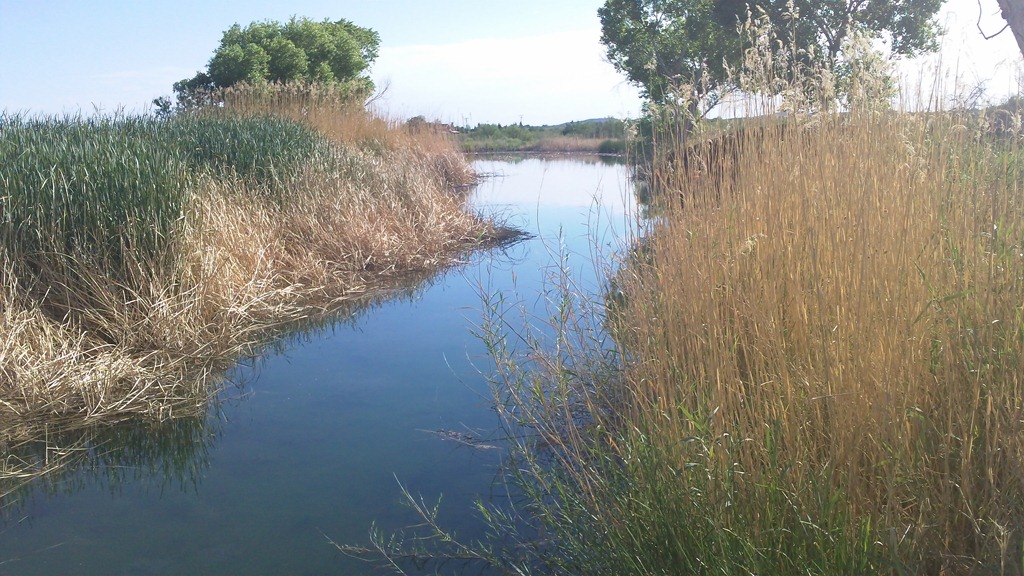 [natural%2520springs%2520at%2520Balmorhea%255B9%255D.jpg]