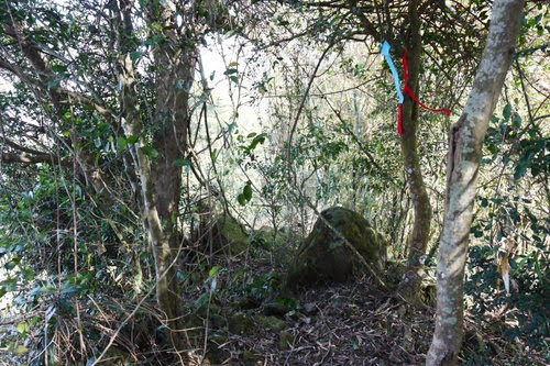 a13D344Nzkg_m45X0kOlWA a13D344Nzkg_m45X0kOlWA