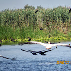 IMG_3852.JPG