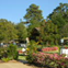 View album