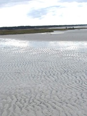 11.2011 skaket beach dennis low tide ripples in the sand