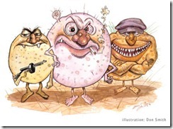 bacterias bacterias