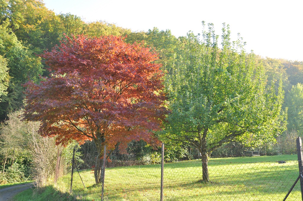 [DSC_1821%255B7%255D.jpg]