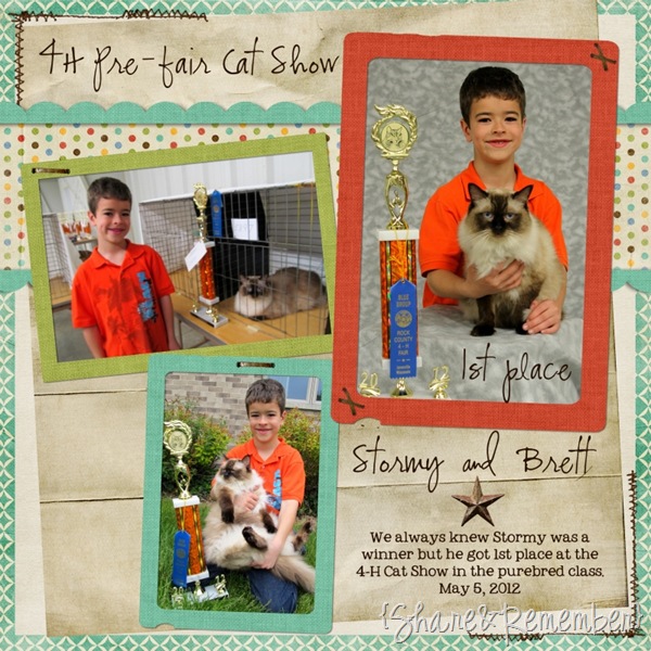 [Stormy--Brett-Cat-Show-2012sm2.jpg]