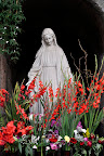 _DSC3983.JPG :: Date: Jan 30, 2012, 3:04 PMNumber of Comments on Photo:0View Photo 