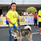 Pet Express Doggie Run 2012 Philippines. Jpg (35).JPG