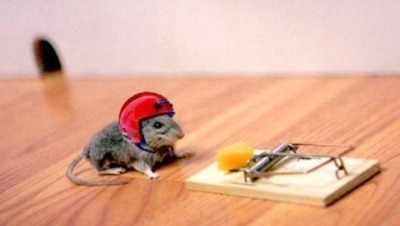 [mouse-helmet.preview%255B3%255D.jpg]