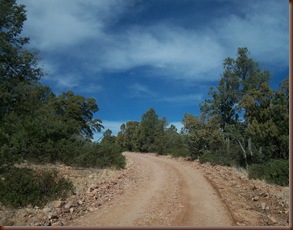 102_7994 102_7994