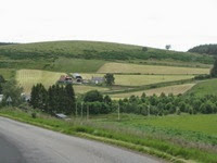 IMG_0980 IMG_0980