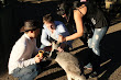 Afc Adam Lyons Pickup Artist In Zoo 4