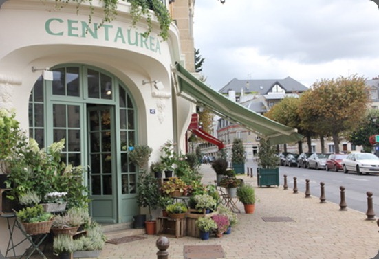 centaurea_reims_par_ via floresie centaurea_reims_par_ via floresie