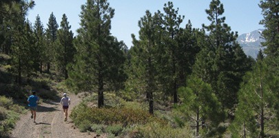 [route1_lrg%255B3%255D.jpg]