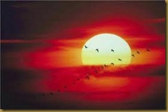 Canadian-Sunset Canadian-Sunset