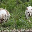IMG_4968 copy.jpg