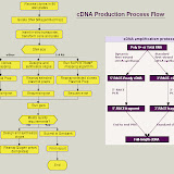 Hierarchical5.jpg