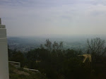 IMG00679-20100130-1212.jpg