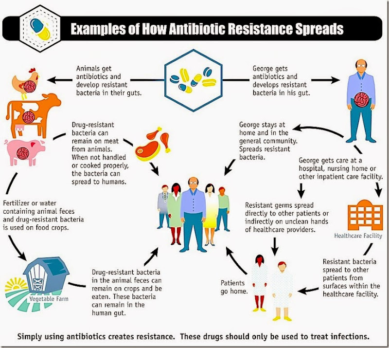 National Summary Data, Antibiotic Resistance National Summary Data, Antibiotic Resistance