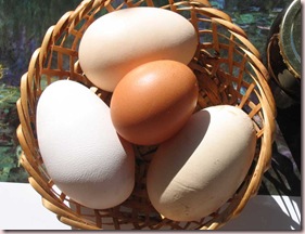 Huevos-Mw Huevos-Mw