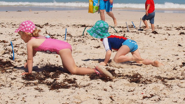 [beach%2520course%255B3%255D.jpg]