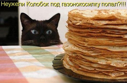 [1248340758_podpisi_20%255B3%255D.jpg]