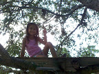 Tree House 6.jpg