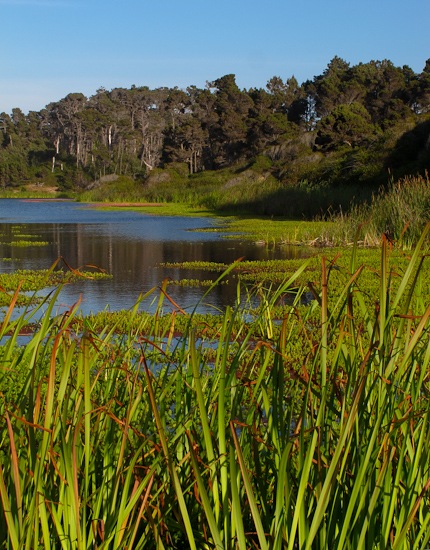 MacKerricher State Park Cleone Lake