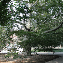 Purdue Arboretum