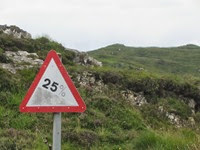IMG_1762 IMG_1762
