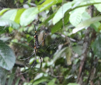 IMG_3911.JPG