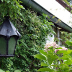 20100825_075_small.JPG