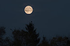 Vollmond Westerbeck