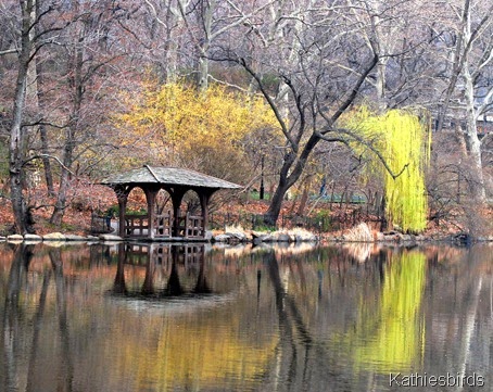 3. willows central park-kab