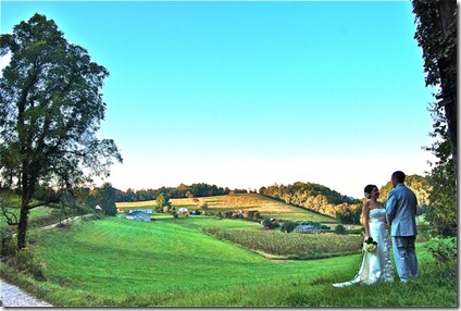 DSC_0410_2 DSC_0410_2