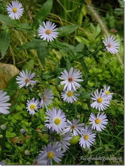DSCN9923 DSCN9923