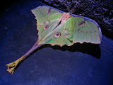 South Africa - 083.JPG