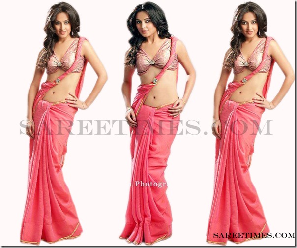 Disha_Pandey_Designer_Saree