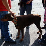 Canyon Springs Health and Rehab Fall Festival fund raiser 11 05 11