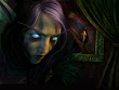Elf Of Wizdom