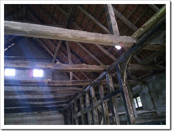 IMG_20110713_170010