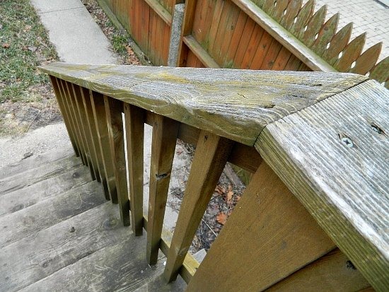 [Wordless%2520Wed%2520backyard%25203%255B4%255D.jpg]