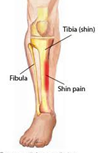 shin shin