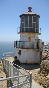IMG_3719.jpg
