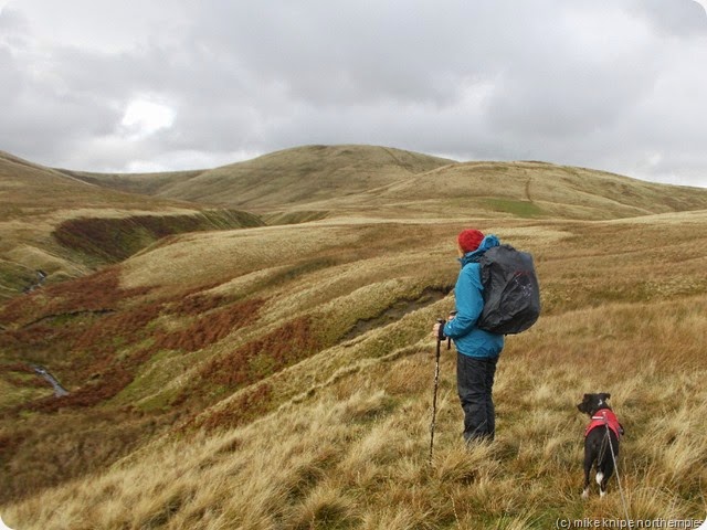 climbing towards green bell