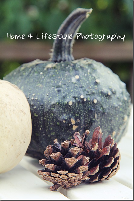 Home & Lifestyle Home & Lifestyle