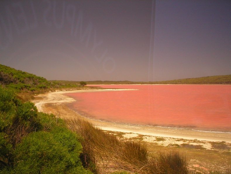 lake-hillier-2