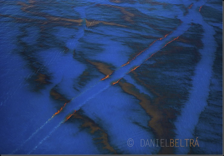 Gulf Oil Spill