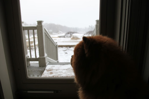 Oh wow, girls!  It's snowing!  Let's go play outside!