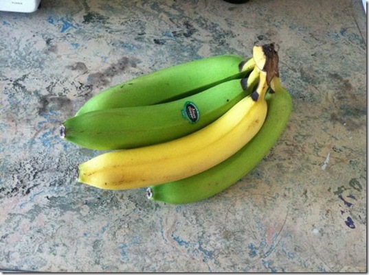 viral-picdump-pics-41