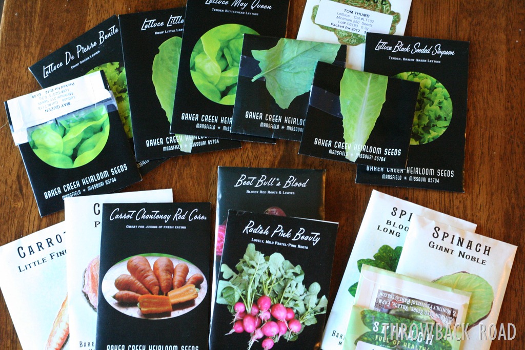 [friday%2520garden%2520007%255B3%255D.jpg]